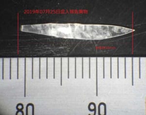 小バエ、ポリスチレン…　那覇市こども園、給食への異物混入34件　18年度以降相次ぐ