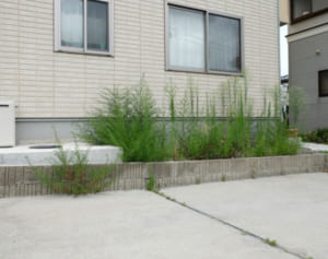 金持ちでなくとも“不労所得”使っていない駐車場を収入に