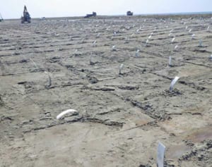 環境負荷少 植物性プラ　工事用資材「ドレーン」従来素材から置き換え　泡瀬埋め立て県内初利用