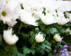 元f（x）ソルリさん自殺か 悲劇続かないようにと願う声広がる