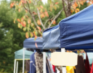 11月18〜12月1日の星回り 友人とフリマで「爆売れ」の予感