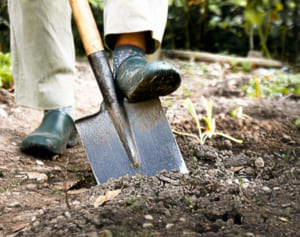宝くじ100万円当せん者が見た「土を掘る夢」の意味とは