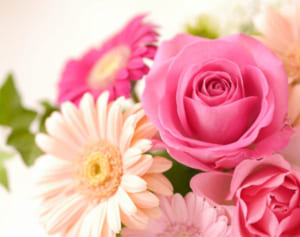 「AKB復活の切り札」卒業へ　新センター・矢作にファン絶句