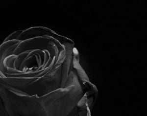 松潤と大野が二宮結婚に無言貫く理由 ケジメ尊重も胸中複雑か