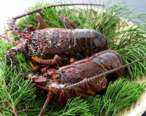 実質2千円でおせちが華やかに！令和最初のふるさと納税返礼品