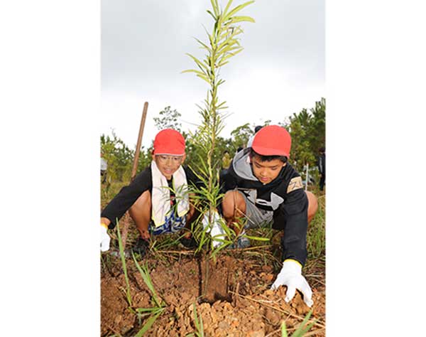 未来の首里城木材に　100年先を見据え、児童らと植樹