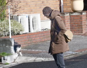 八千草薫さん急いだ遺言書…愛犬と愛猫の行く末心配していた