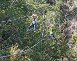新たな観光スポット！　ジップラインで沖縄やんばるの森を空中散歩