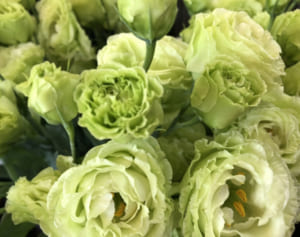 相葉雅紀「今はもう、メンバーには感謝の気持ちしかない」