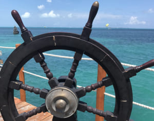 嵐 ワンピースと20周年タッグ！過去のコラボ歴も凄いと話題