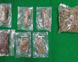 大麻売買疑いで20人摘発　沖縄県警と麻取　元福岡町議、米軍属、会社役員、高校生ら