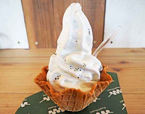 プチプチ食感楽しめる！　海ぶどうのソフトクリーム登場　沖縄・糸満の養殖業が開発　塩気が甘さ引き立てる