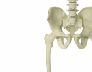 顔骨のゆがみは骨盤のゆがみから！目の骨を正す「美骨習慣」