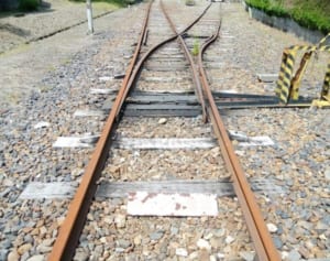 中居正広 ジャニーズ退所で広がる動揺…SMAP解散から3年の決断