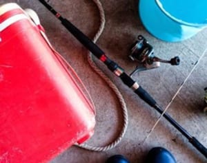 釣り上げた魚の中から紙幣？専門家は「可能性低い」と話す