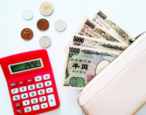 100万貯めるための心構えは「無理なく・無駄なく・ムラなく」で