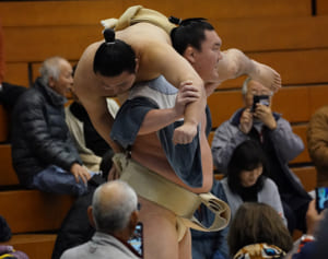 人気の炎鵬の人柄に迫る「好物はプリン」「寝るのが好き」