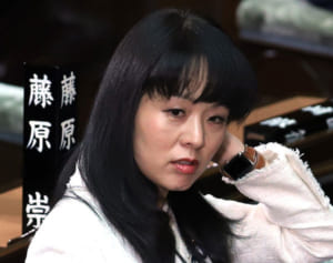 夫婦別姓ヤジる議員の根深さ 過去には国連から差別的と指摘も