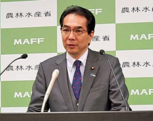 沖縄の在来豚アグーを隔離移転へ　政府が検討　豚コレラ感染から守る狙い