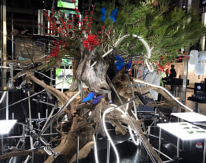 驚きの体験！　落合陽一氏が総合監修「科学と自然の融合」