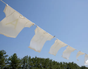 多すぎる洗剤が黄ばみの原因になる…お洗濯の新常識〇×クイズ