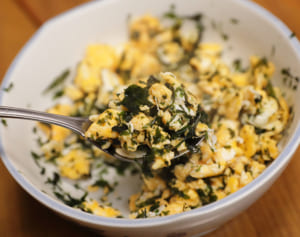 健康長寿多い京丹後市「ご当地“板ワカメ”の効果も」と医師