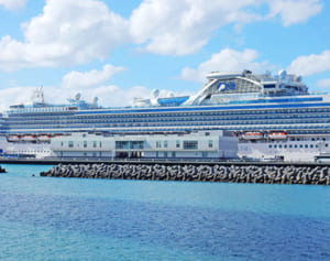 クルーズ船客が利用したバス運転手ら特定のため調査へ　新型肺炎対策、玉城知事が特定作業を指示