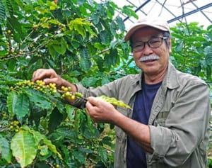 1杯1200円　希少な国産コーヒーの産地は沖縄　「ほろ苦、うま甘」新宿伊勢丹で好評