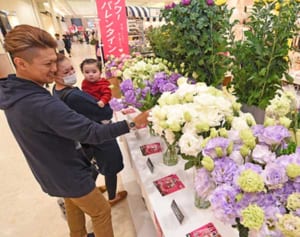 今年はフラワーバレンタインで　「男性から贈る習慣はすてき」