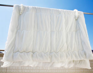 「花粉症」防ぐ為の“朝習慣”布団干すなら「昼まで」にが吉