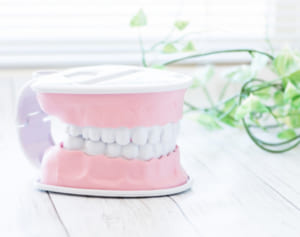 歯科医勧める「歯ぐきマッサージ」リンパの流れ整える効果