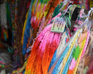 新型コロナで修学旅行断念　愛知の専修学校生　平和の願い千羽鶴に託す