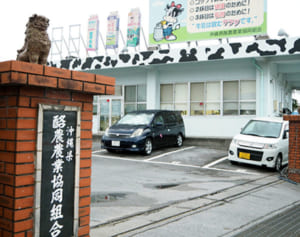 行き場を失う給食用牛乳　52万本分が余剰に　酪農農家の経営打撃　新型コロナ臨時休校の影響