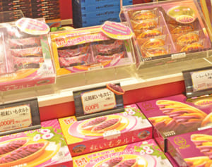 掘り起こすと強い臭いを発して腐っていた…　基腐病、イモ産地に打撃　農家、発生源分からず「どうなるのか不安だ」