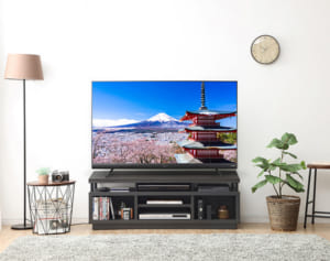 10年で売り上げ10倍！「アイリスオーヤマ」家電人気の秘密