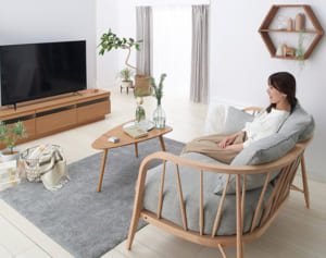 音声操作テレビが7万円台…財布に優しい「アイリス」家電