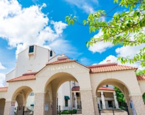 宝塚の公演再開に賛否も自粛延長にエンタメ界は崩壊寸前