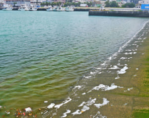 有害の泡消火剤、牧港漁港に到達か　米軍回収せず海へ