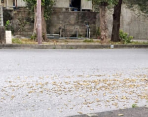 道路に散らばる薬きょう　米軍トラックから落下、後続車はパンク