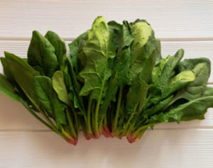 1つの葉物野菜が「非常時つくりおき」に“家事プロ”伝授