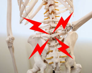 骨の健康を守る3本柱は「食生活・骨検診・適度な運動」