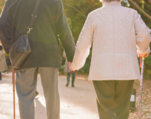 付加年金以外にも！「老後のお金」を増やすための知識