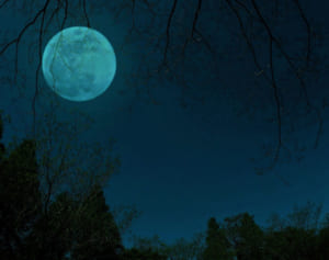 心理学科教授「新型コロナで怖い夢を見る人が増えている理由」