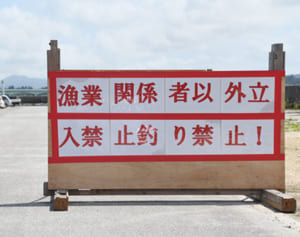 駐車場満車「立ち入り禁止」侵入も…沖縄県本島北部に行楽客続々