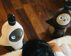 家族型ロボットLOVOTを飼う一般家庭から幸せの声