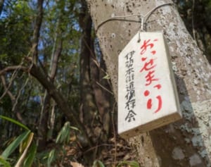 関ジャニ∞丸山隆平「自分の家族が欲しいなぁ」