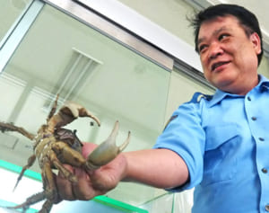 はさみ持ち豊見城署に侵入…のオカガニ「逮捕」　赴任の課長「あいさつに来たのでは」