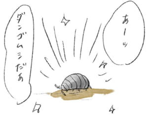 ダンゴムシブームが訪れたゆめこへのルール『まめ日和』第218回