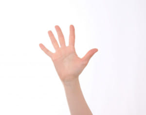 忍たま原作者のリハビリ奮闘記「“すしざんまい”が良い運動に」