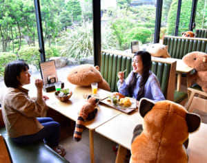 営業再開店舗で活躍する「NO密！ぬいぐるみ」